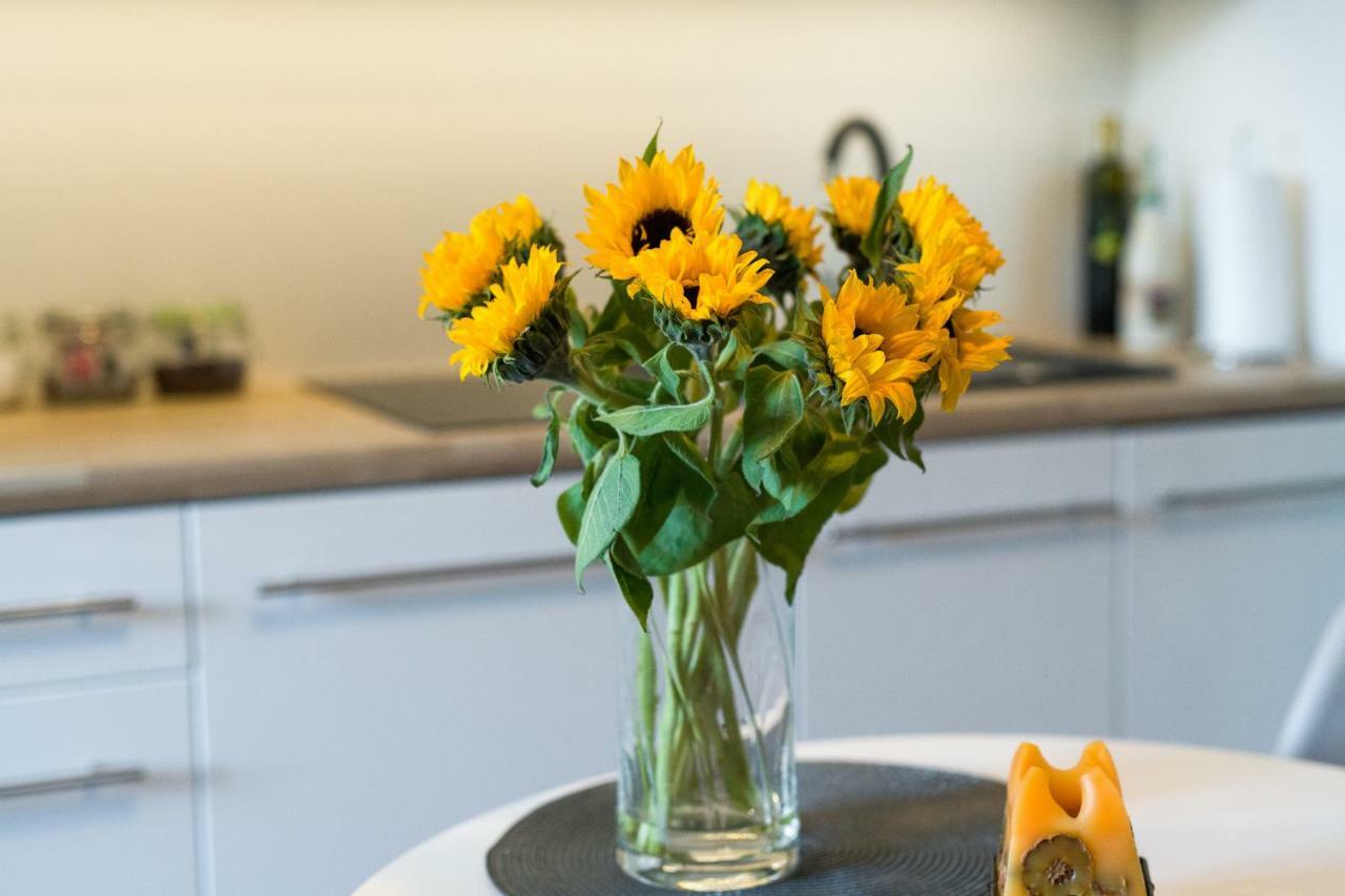 Sunflower Apartment クラクフ エクステリア 写真